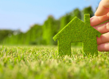 Что такое инвестирование в «зеленый тренд»