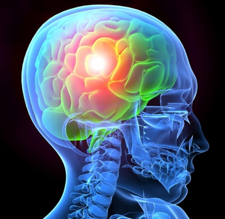 7 Key Facts About Traumatic Brain Injuries