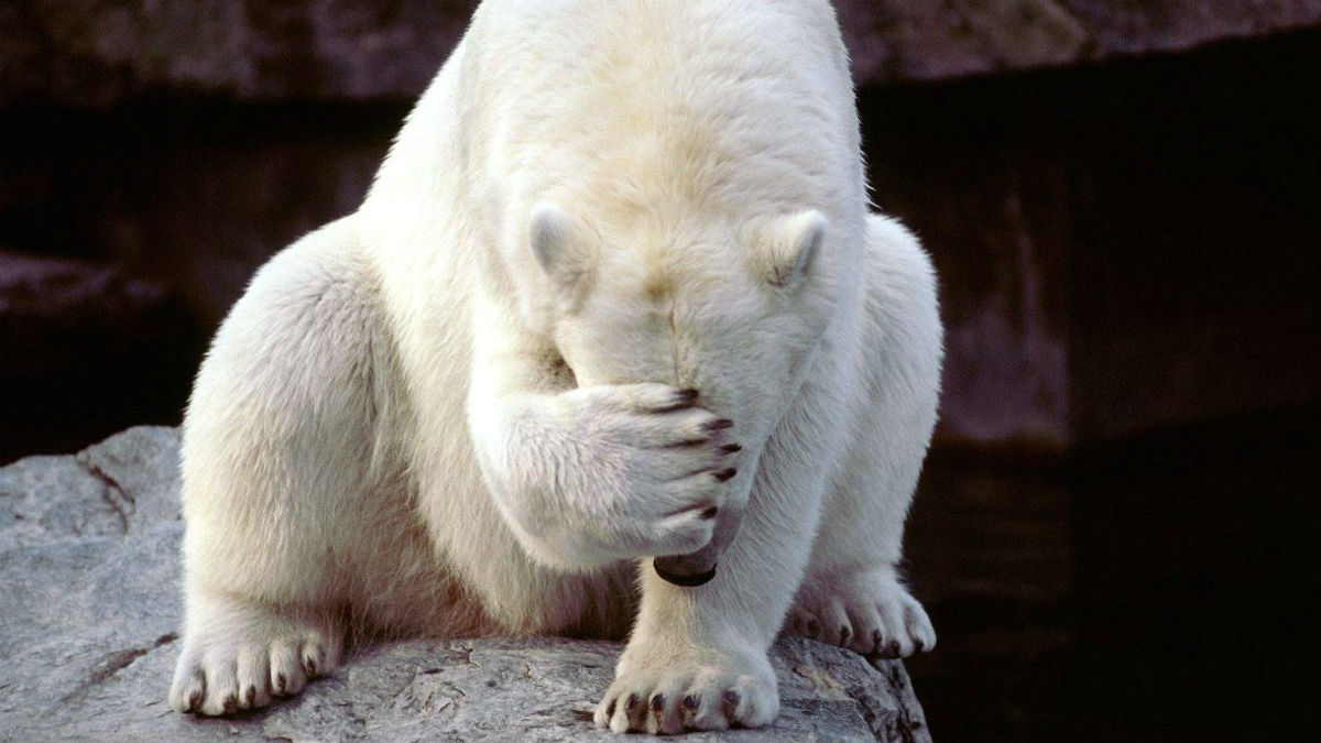 Что такое скромность?