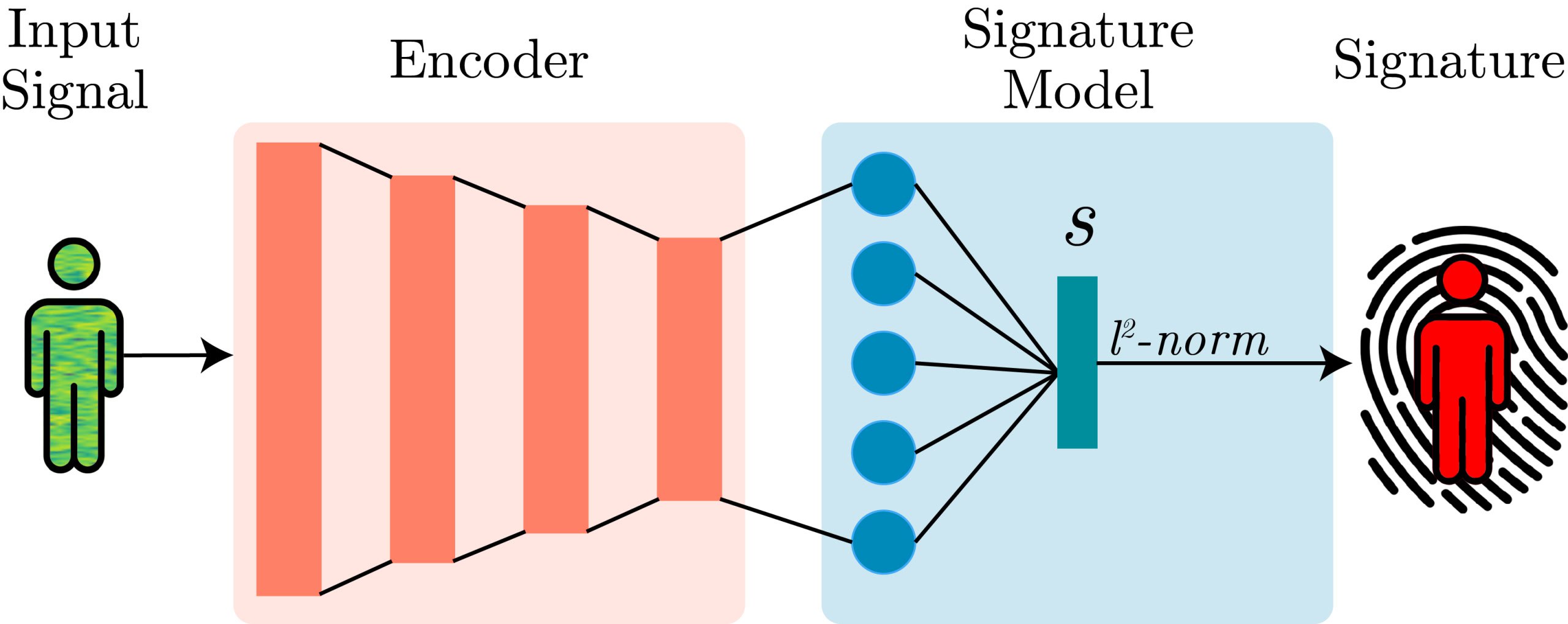 Unique Biometric Identification Using Wi-Fi Signals Unveiled