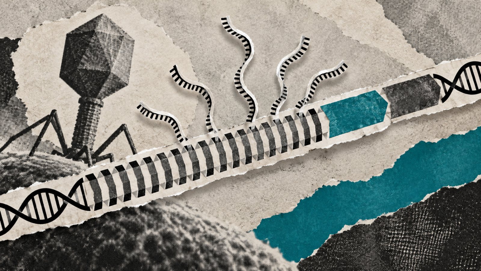 Claude trova un sistema simile a CRISPR, ma la sua funzione resta ignota