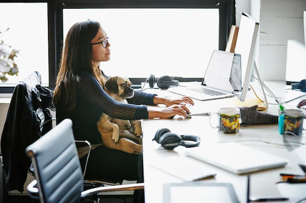 Step Up Your Business Blogging: seo