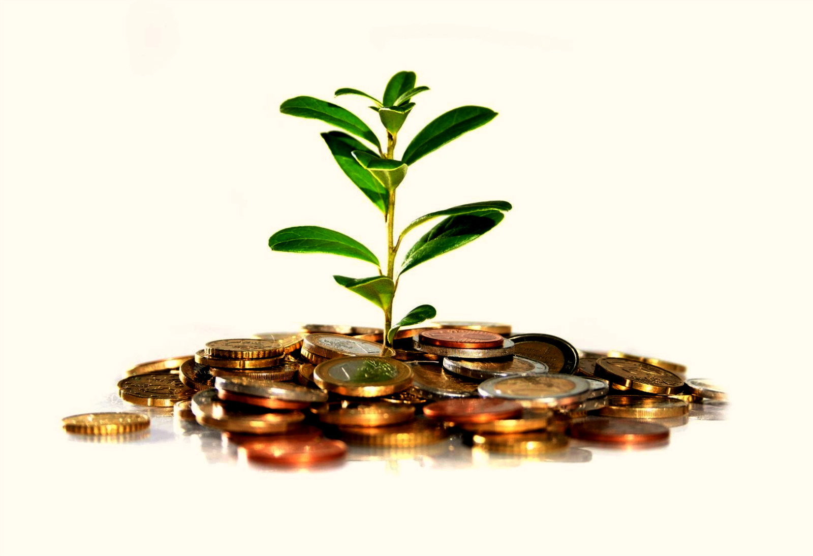 Что такое долгосрочное инвестирование