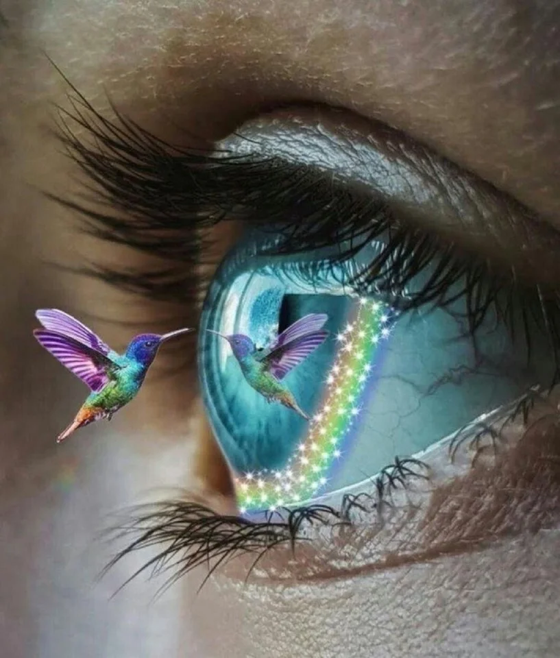 Кто такой графический дизайнер и чем он занимается