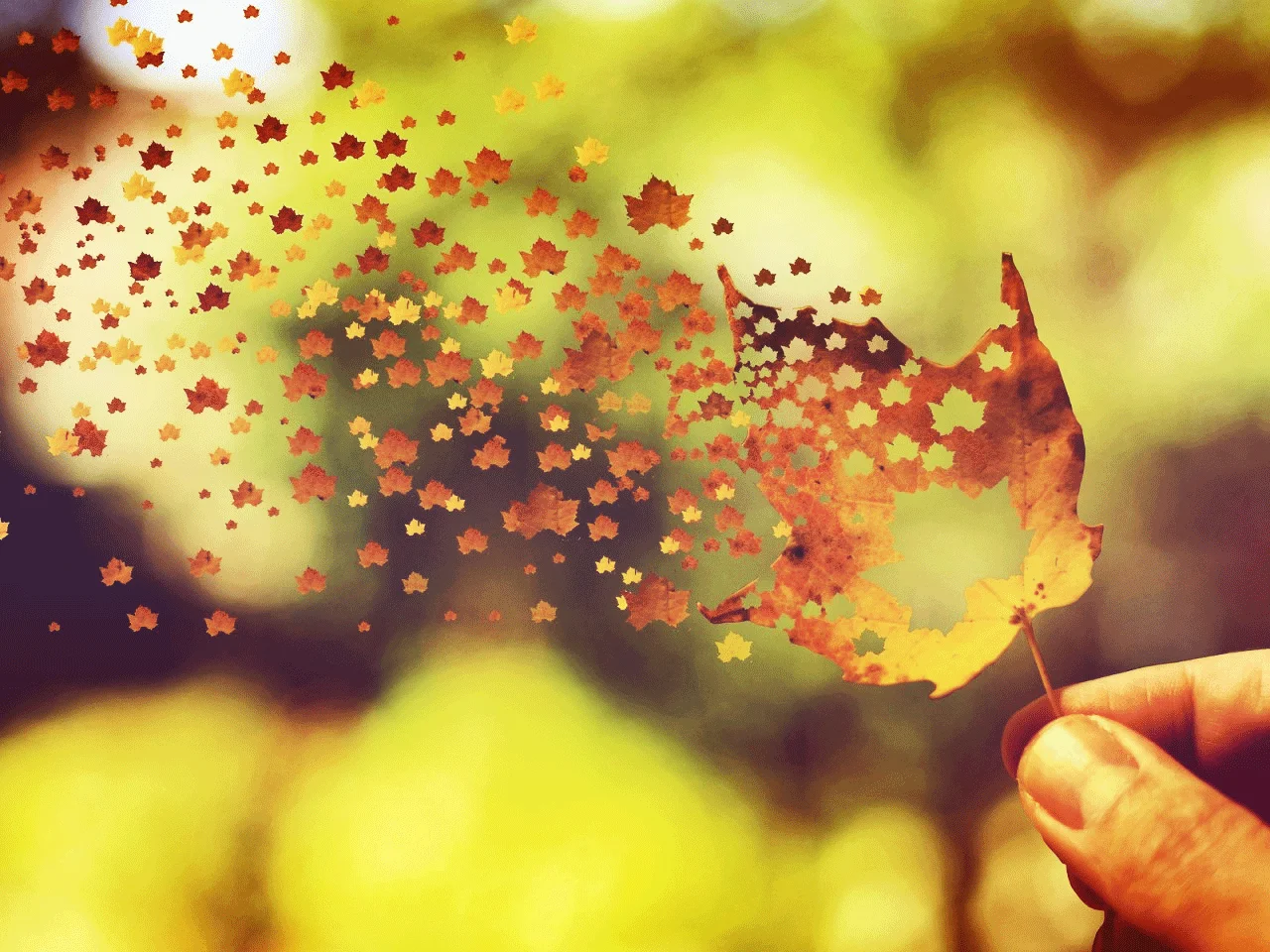 Как избавиться от негатива и грустных мыслей: 8 способов + советы психологов и ценные практики