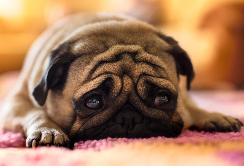 Полезный и вредный стресс