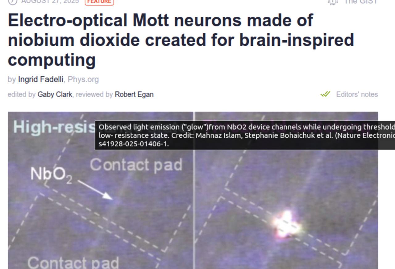 A New Leap Toward Brain-on-a-Chip: Electro-Optical Neurons Bridge the Gap