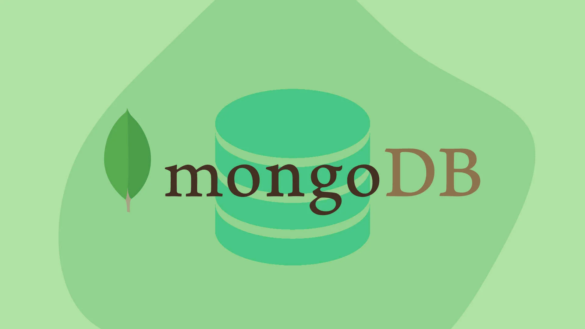 Что такое MongoDB? Простое руководство для веб-разработчиков