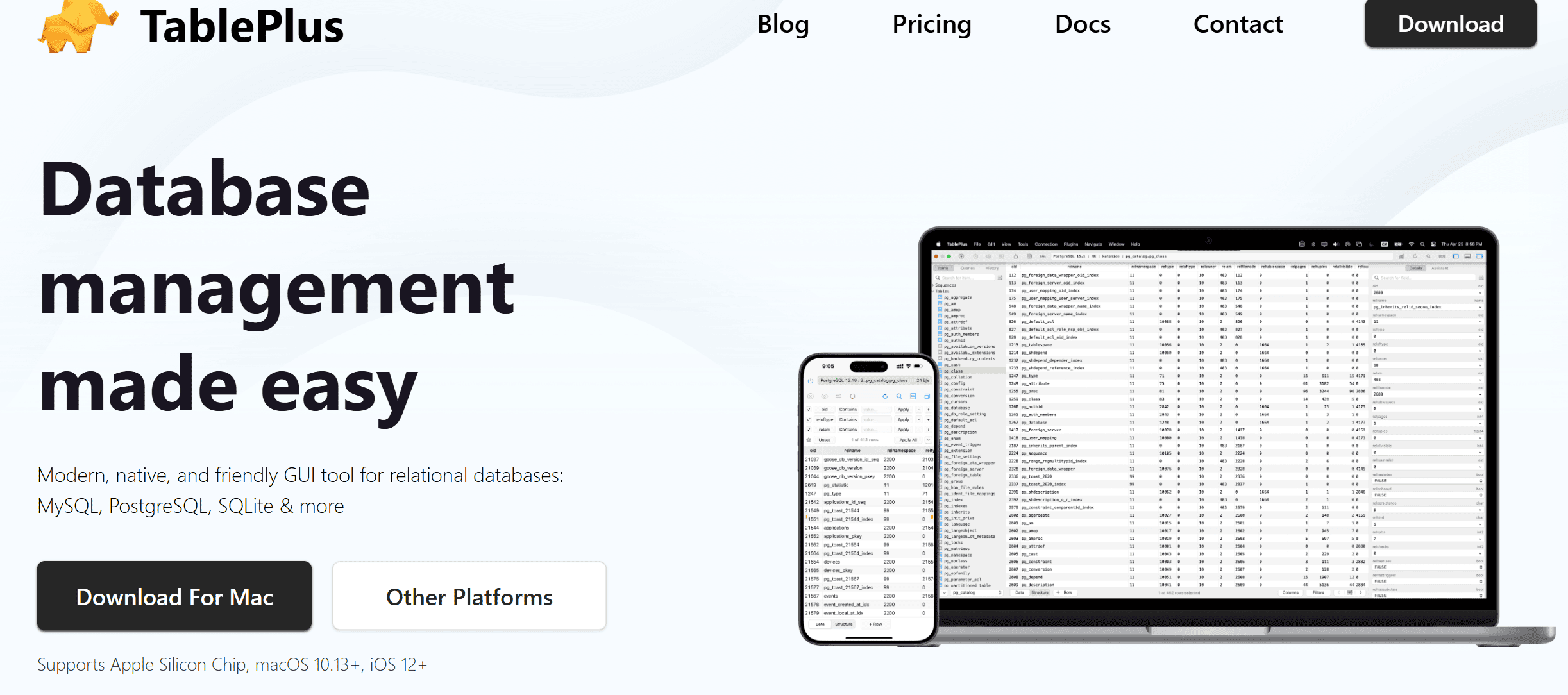 How Wonderful That AI Has Freed Us from Needing to Learn SQL