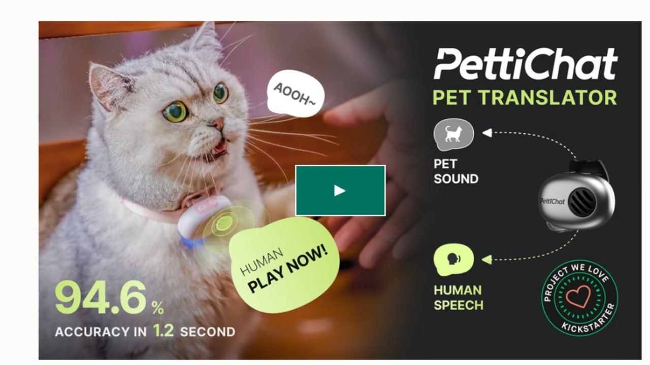 “It’s Crazy What Startups Will Do for Funding: Meet PettiChat, the $118 Collar That ‘Translates’ Your Dog with 95% Accuracy… Sure, Jan.”