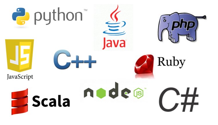 Top 7 Programming Languages Used in Popular Websites
