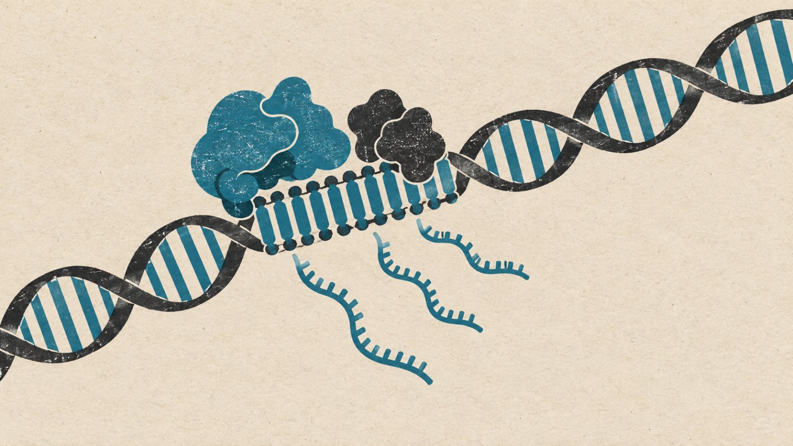 Claude findet ein CRISPR-ähnliches System – die Funktion bleibt offen