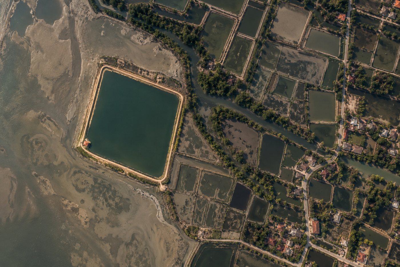 Detail citra satelit memperlihatkan jenis tugas analisis visual yang dipakai dalam klaim kemampuan awal Mistral Large 4.