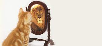 Что такое самообман: почему мы лжем самим себе и что с этим делать