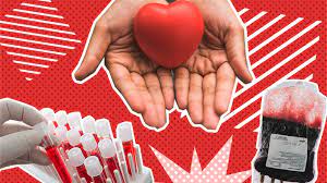 Как стать донором крови за деньги и безвозмездно: что для этого нужно, как часто можно сдавать, какие полагаются льготы