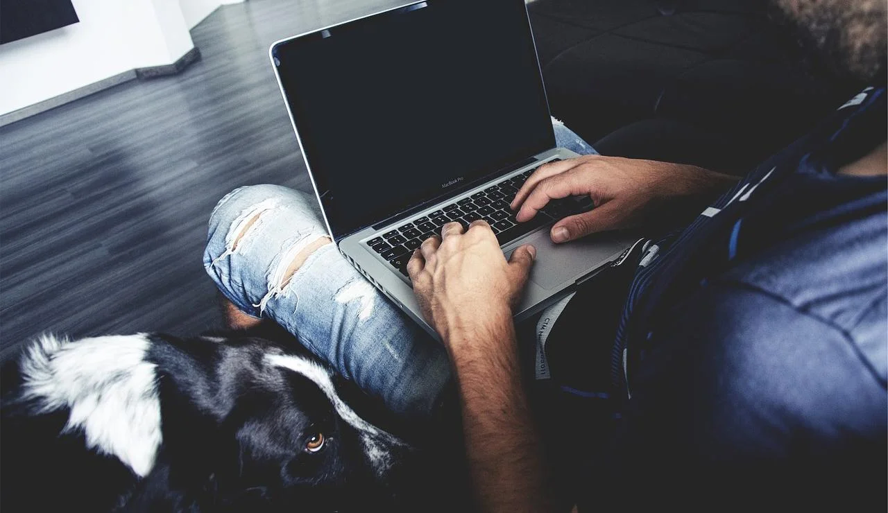 Как создать доходный информационный сайт – 10 бесплатных пошаговых уроков для новичков