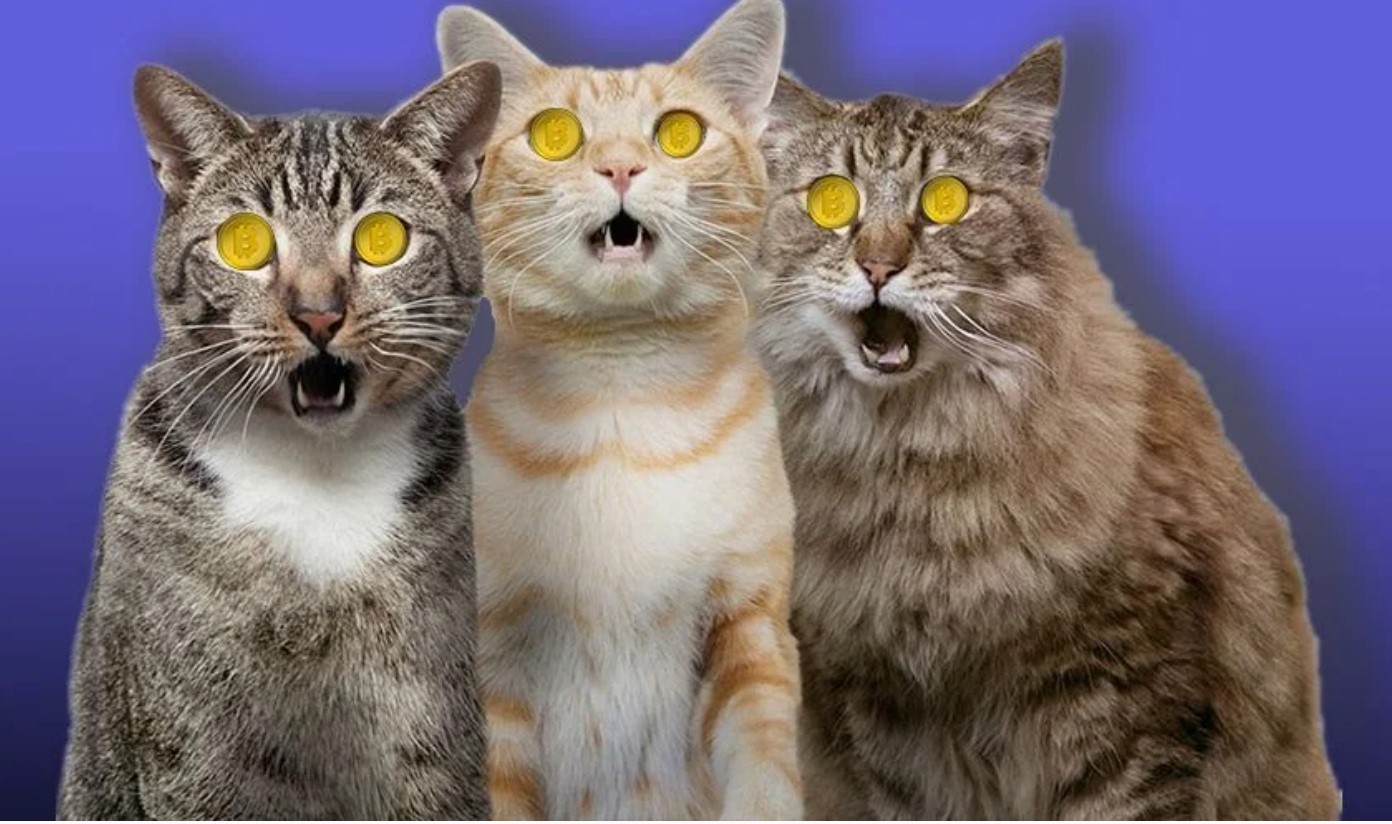 Quasa International GmbH will conduct crypto-crowdfunding of the AIO on the Kickico website. The fundraising start date is May 17!