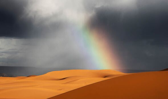 Our Climate Is So Screwed Up, It Rained in the Sahara Desert
