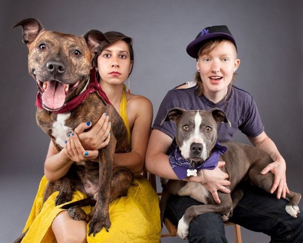 Топ-8 бизнес-идей для владельцев собак