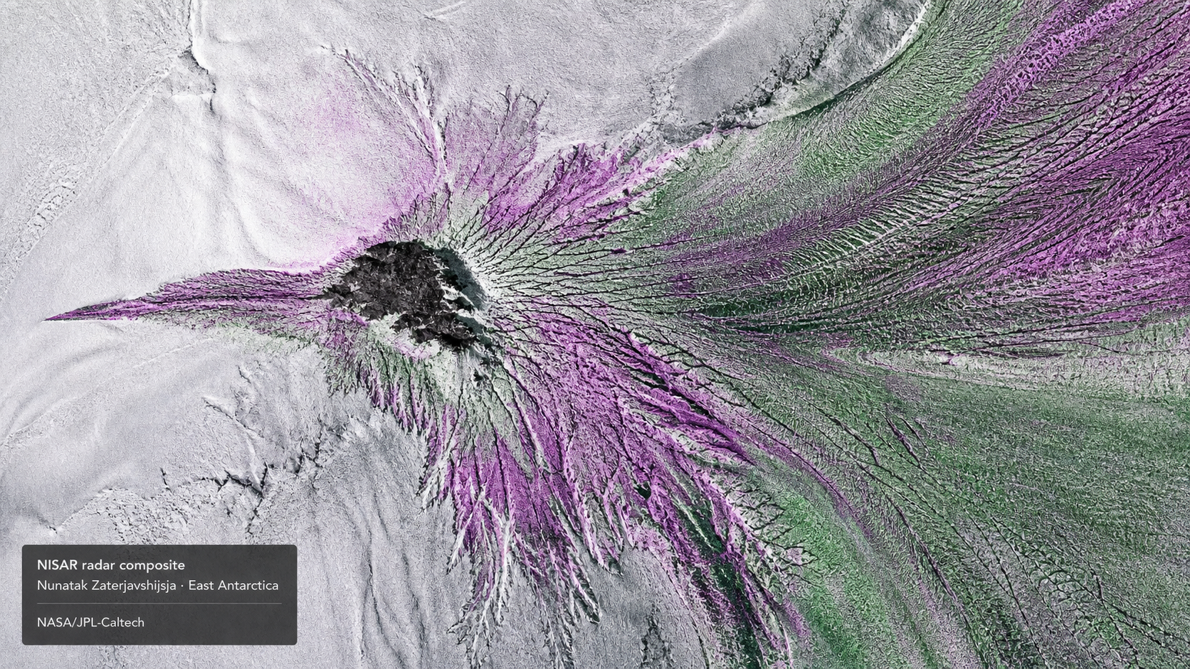 NASA Hummingbird-Shaped Satellite Image: What NISAR Saw in Antarctica