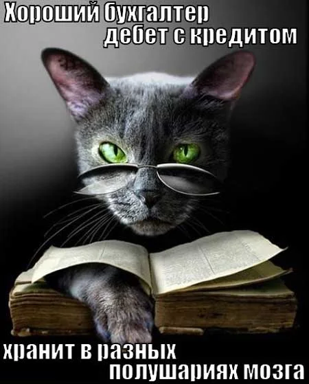 Кто такой бухгалтер и чем он занимается