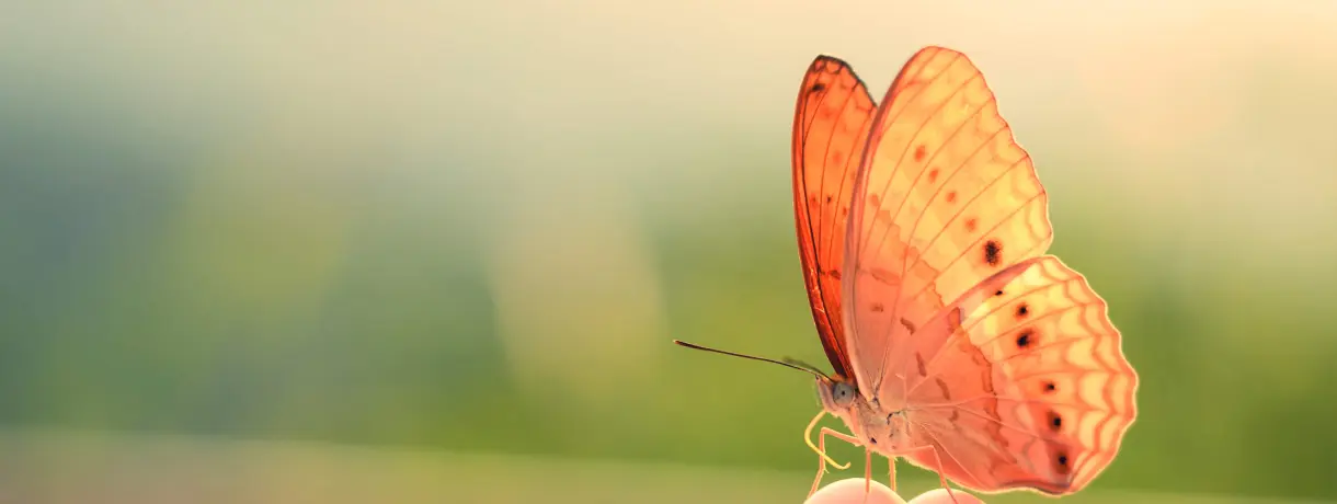 Как изменить жизнь к лучшему