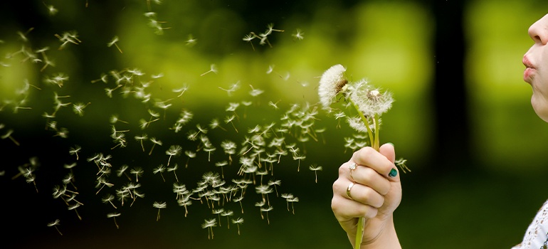 Желание: что это?