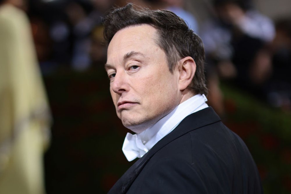 Top AI Researcher Points Out That If Elon Musk Was Rational, He'd Vote for Kamala Harris