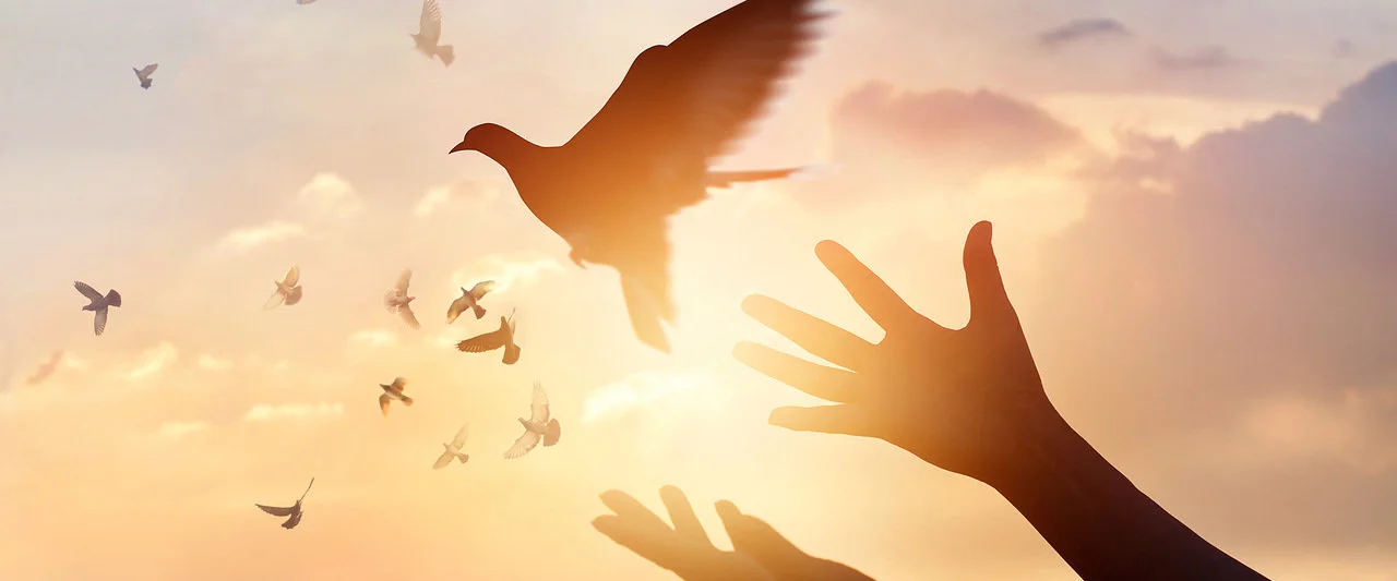 Что такое саморазвитие, с чего начать и как не забросить через неделю: самое подробное руководство