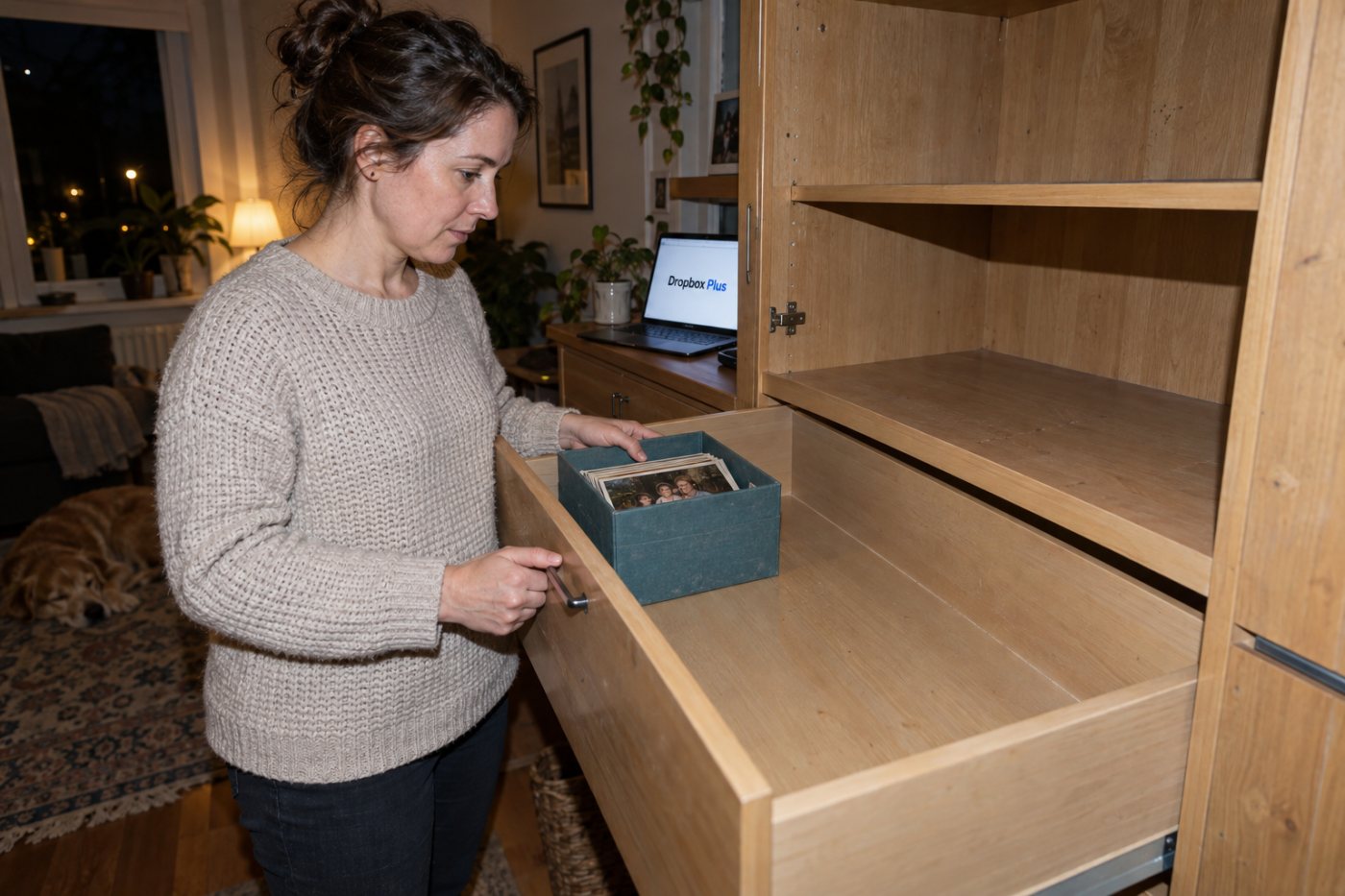 Google One 100 GB plāns un Dropbox Plus 2 TB plāns nelielas ģimenes fotoattēlu krātuves vajadzībai.
