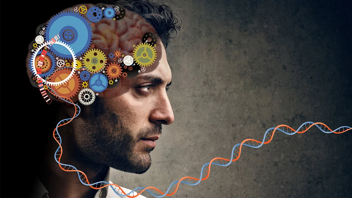 Что такое когнитивные способности и как их развить