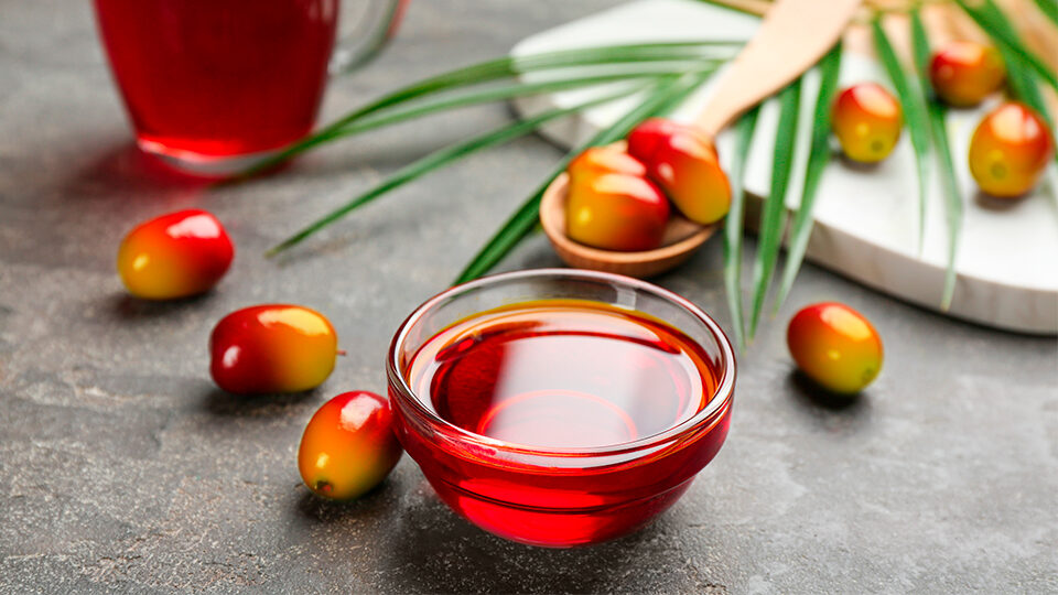 Вред пальмового масла: современный взгляд