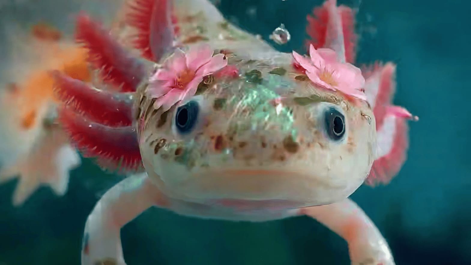 Luma Labs Unveils Ray 3: A Leap Forward in AI Video Generation, But Not Without Flaws