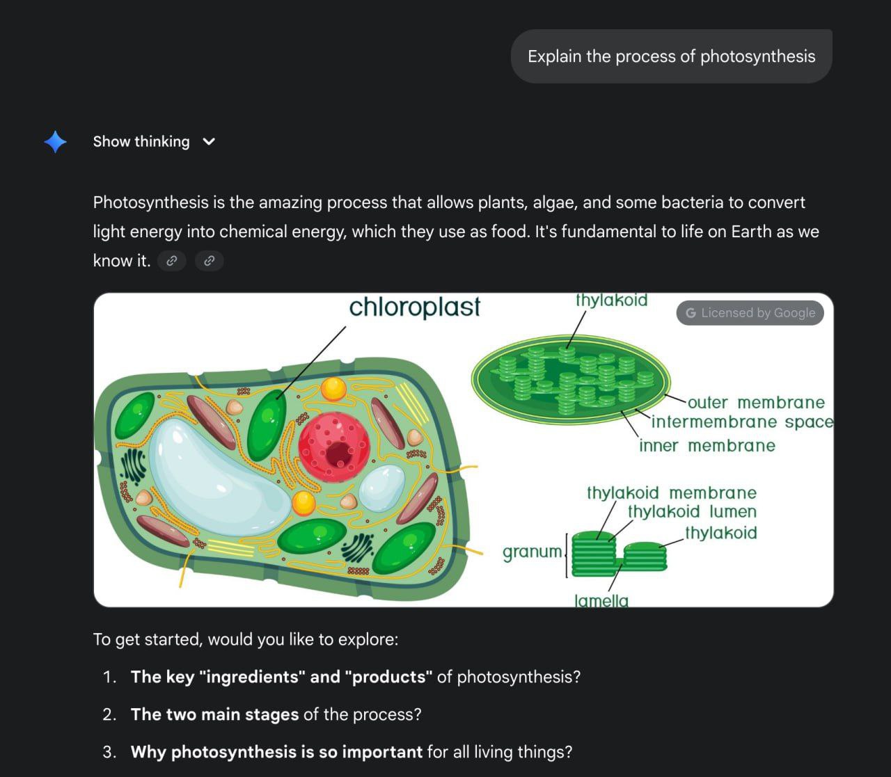 Gemini Unveils Tutor Mode: Now Teaching Languages, Coding, and Even Music Without the Hassle