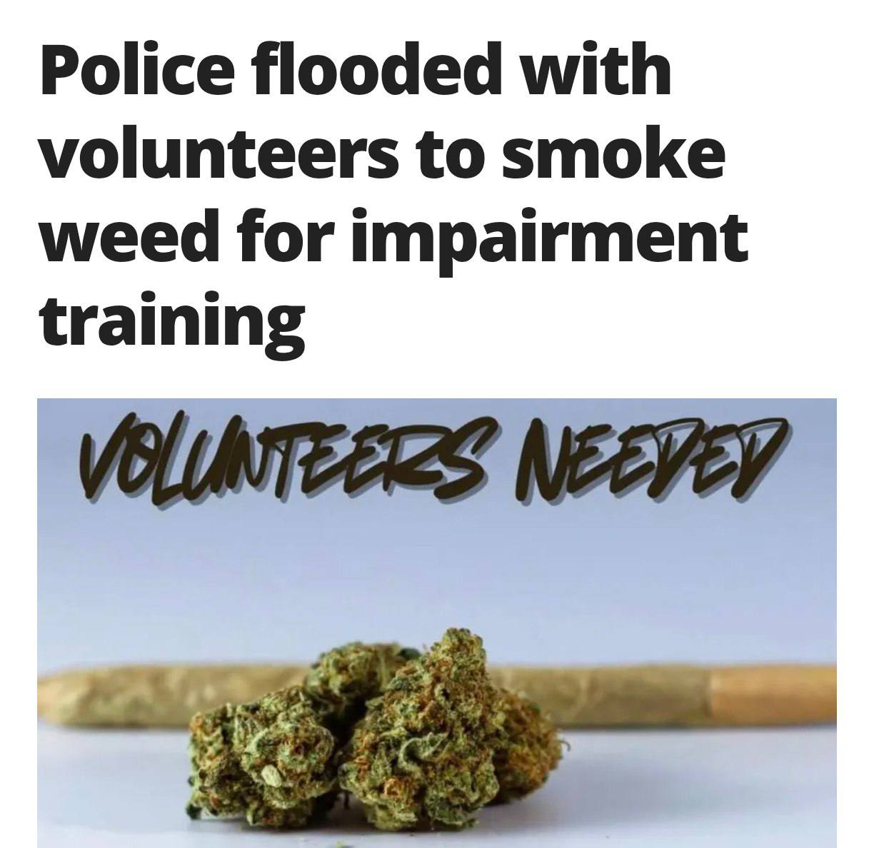 Dream Job Alert: Ocean City Police Seek Weed Volunteers for Impairment Training – Slots Filled in Hours!