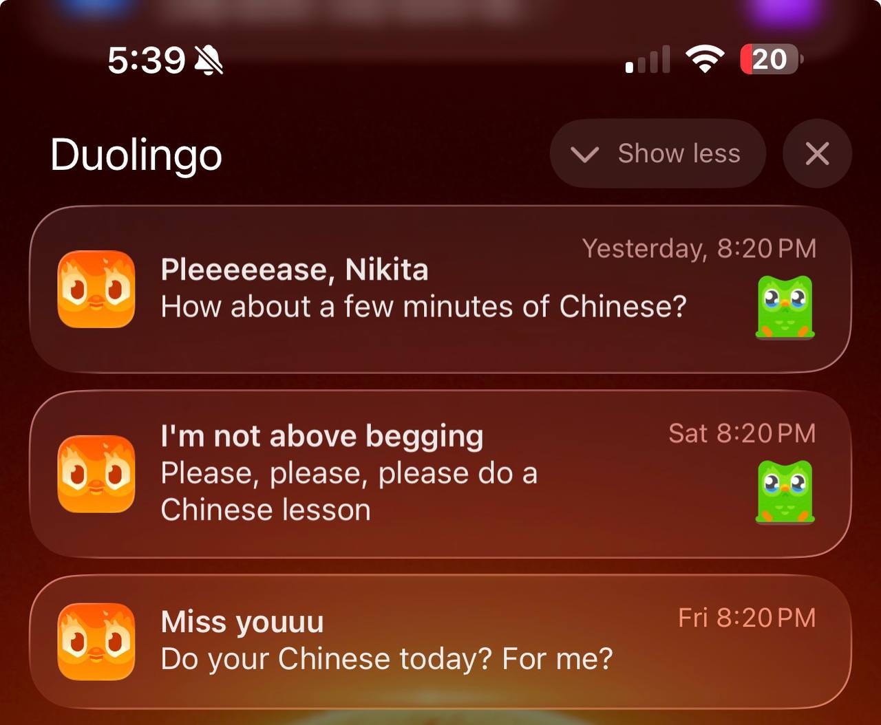 I Quit Duolingo After 555 Days of Studying Chinese. I Learned Almost Nothing.