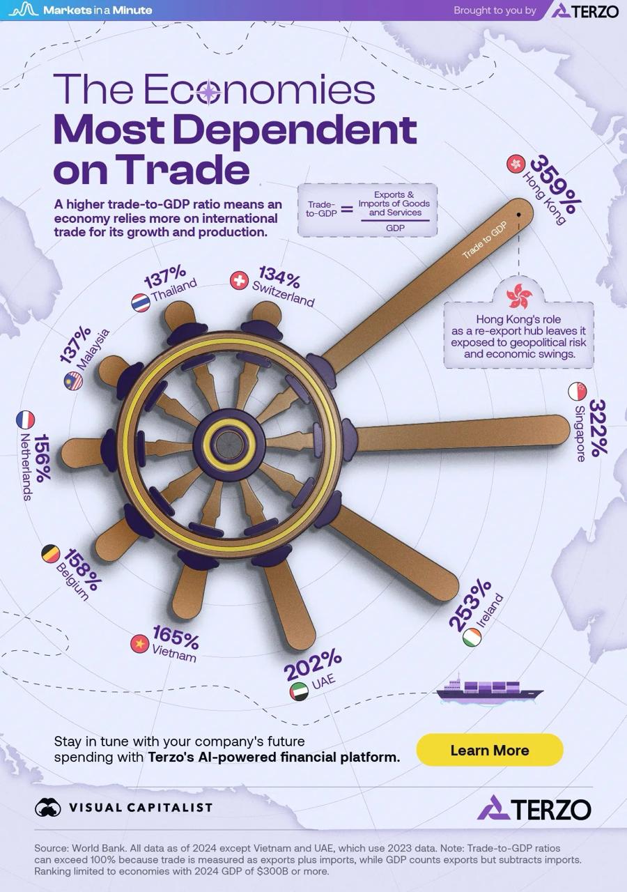 The Varying Weight of International Trade: How Economies Measure and Mitigate Their Dependence