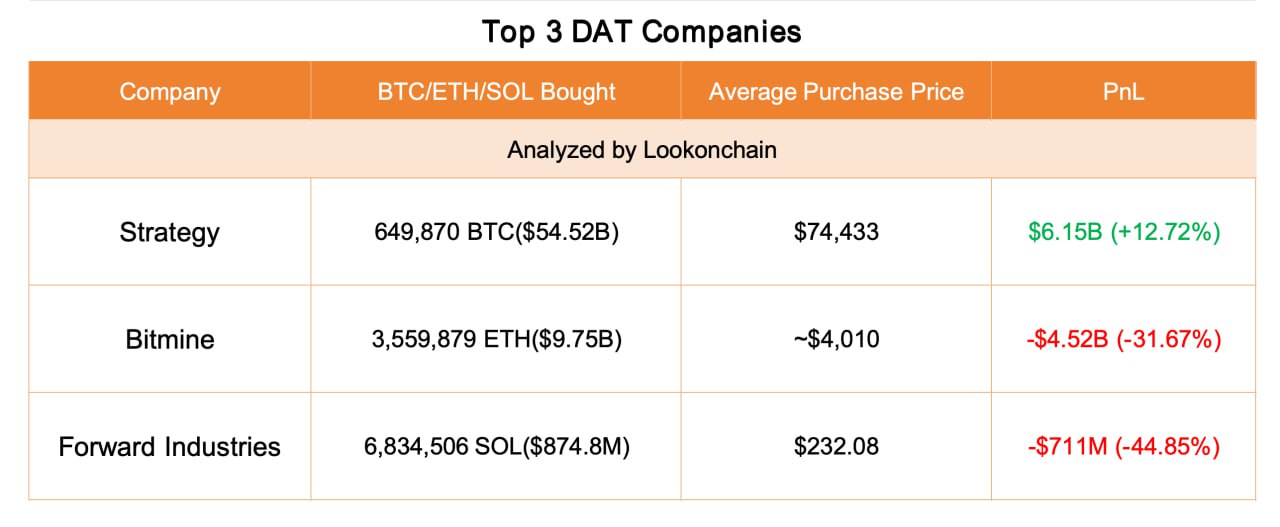 Crypto Market Crash Exposes Brutal Divide: BTC Holders Profit, ETH & SOL Giants Drown in Losses