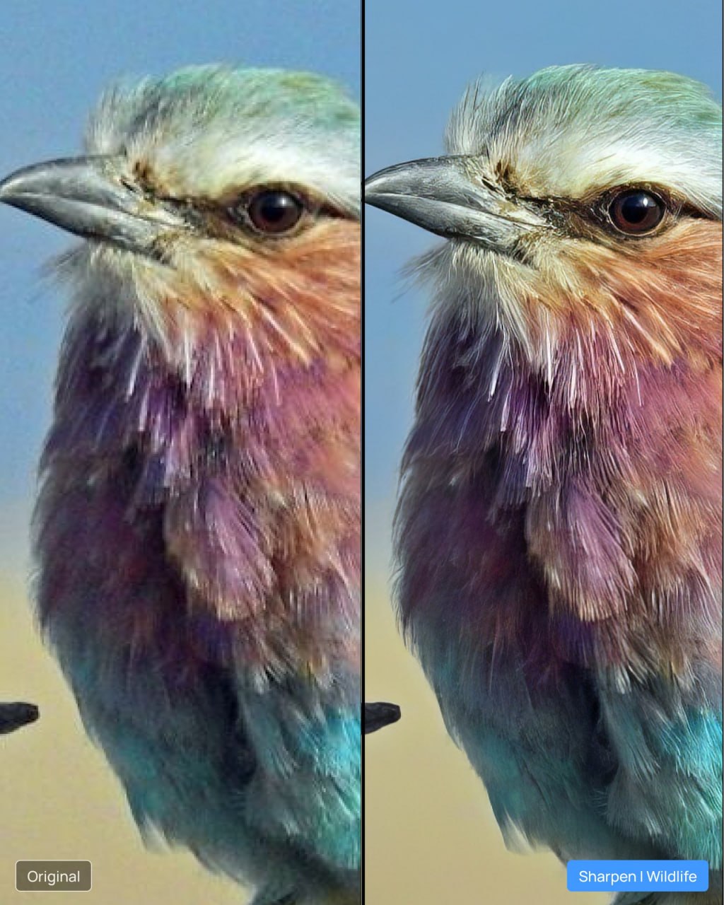 Topaz Labs' Realism Update: Over 20 New Features Push AI Enhancement Toward Lifelike Perfection