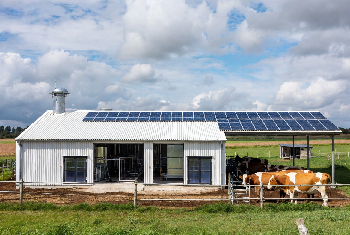 The Netherlands Builds the World’s First Cultivated Meat Farm: Real Beef, Grown in a Bioreactor