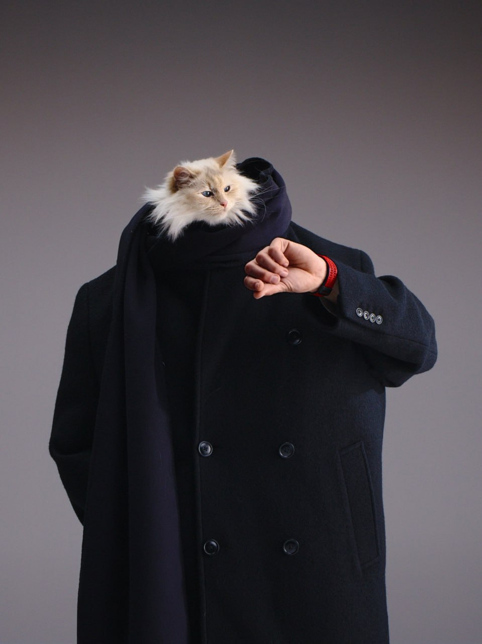 Choupette, Karl Lagerfeld’s 13-Year-Old Cat, Stars in Hublot’s Big Bang Campaign: Living the Ultimate Luxury Life