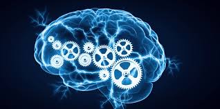 Что такое социальная психология?