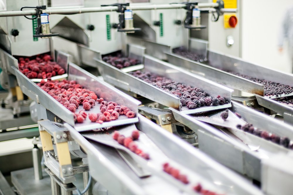 How Food Processing Methods Affect Your Packaging Methods?