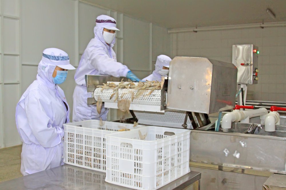 How Food Processing Methods Affect Your Packaging Methods?