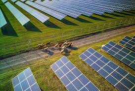 How India is Moving Towards Becoming a World Leader in Solar Power