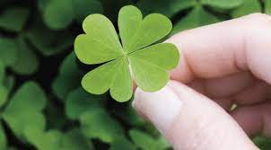 Что такое удача на самом деле и как привлечь везение в свою жизнь