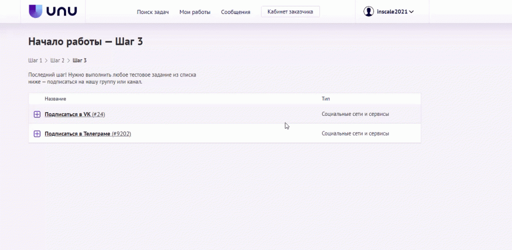 Заработок на лайках в соцсетях