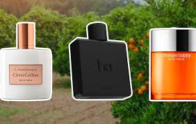 How to Choose an Eau de Toilette for Men