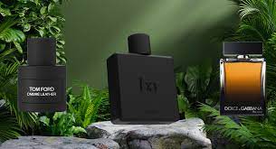 How to Choose an Eau de Toilette for Men