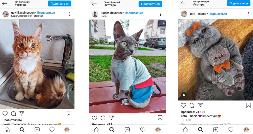 Челлендж в Инстаграм: 13 идей